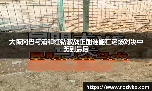 大阪冈巴与浦和红钻激战正酣谁能在这场对决中笑到最后