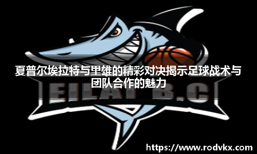 夏普尔埃拉特与里雄的精彩对决揭示足球战术与团队合作的魅力